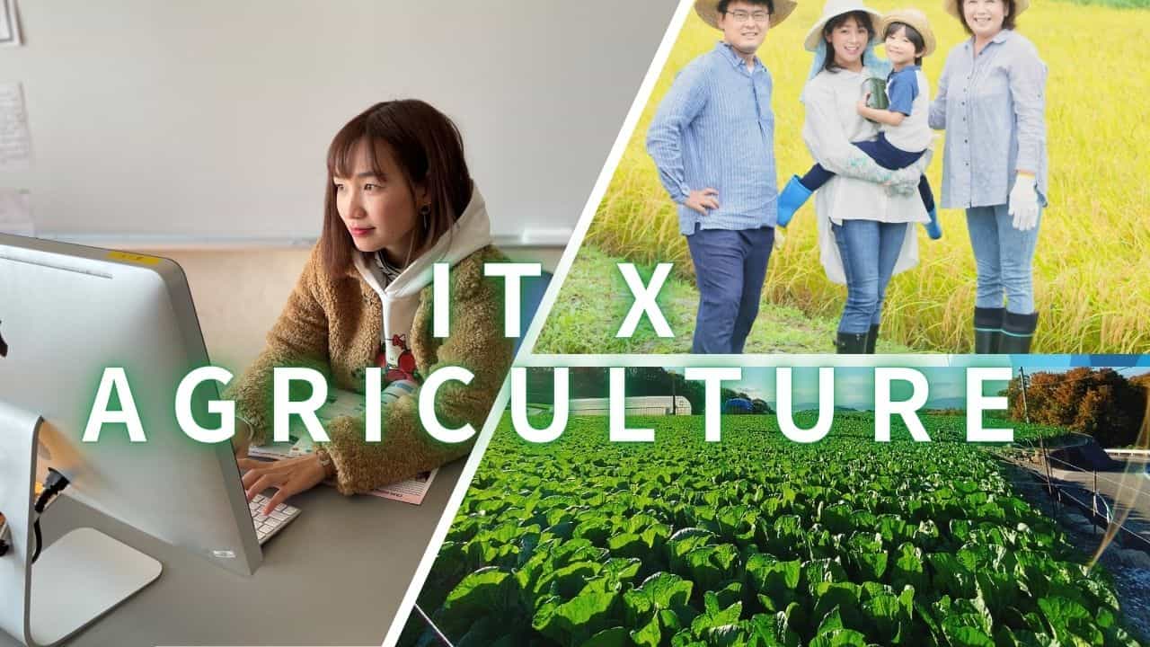 IT x Agriculture images